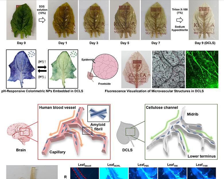 논문 관련 내용