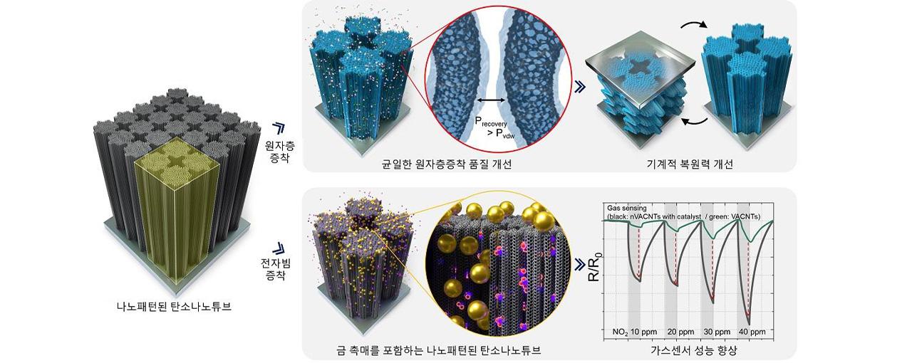 나노 패턴된 탄소나노튜브의 원자 침투성 개선 전략 및 응용도