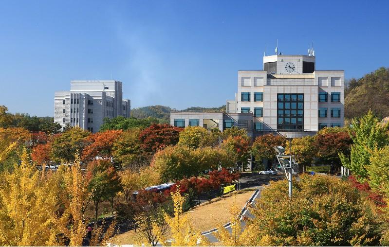 캠퍼스 사진